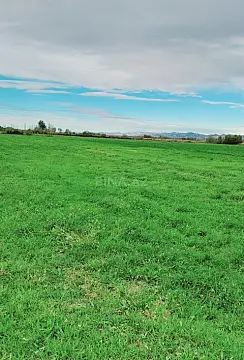 Satılır torpaq sahəsi 21000 m² — İsmayıllı 21000.00 m²