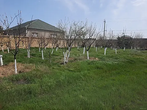 Satılır torpaq sahəsi 16 m² — Bakı, Görədil 16.00 m²
