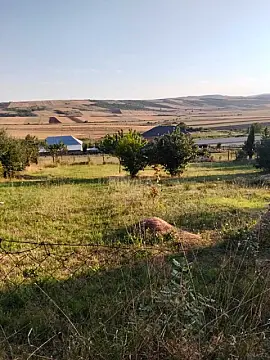 Satılır torpaq sahəsi 10 m² — İsmayıllı 10.00 m²