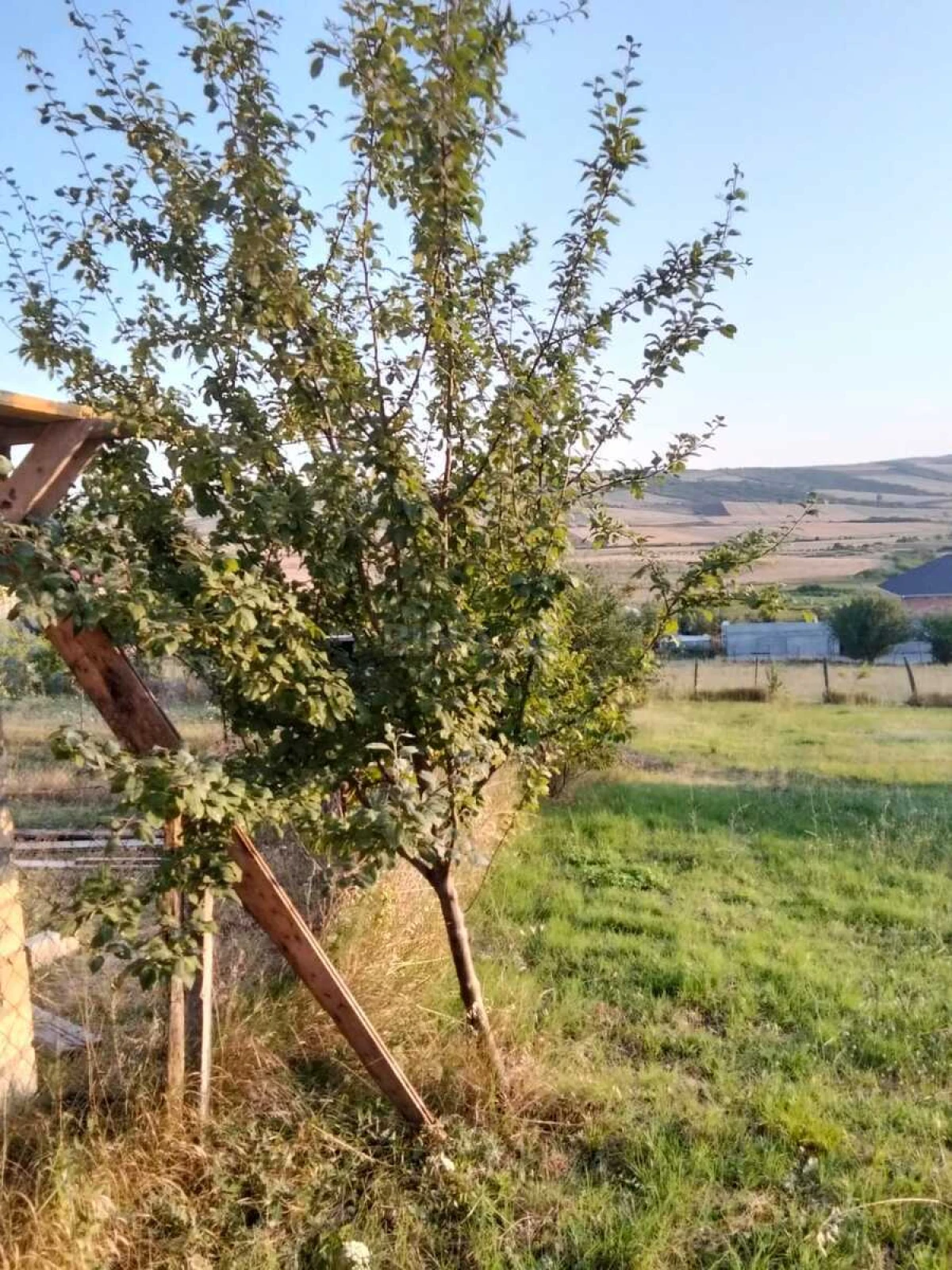 Satılır torpaq sahəsi 10 m²