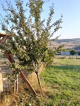 Satılır torpaq sahəsi 10 m²