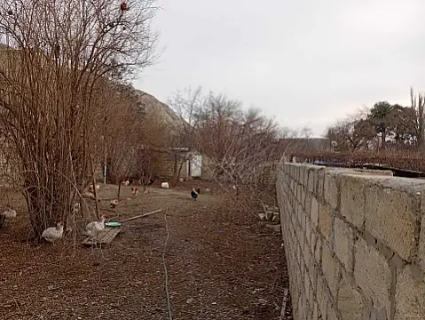 Satılır 3 otaqlı həyət evi 100 m²