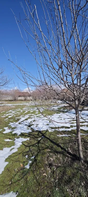 Satılır torpaq sahəsi 15 m²