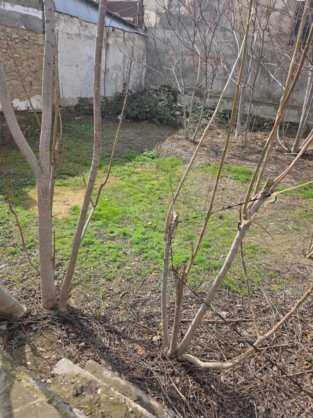 Satılır torpaq sahəsi 6.5 m²