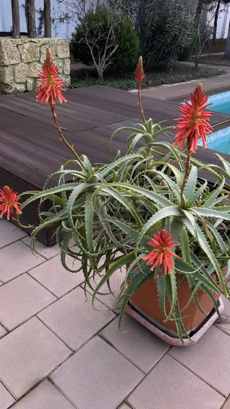 Satılır 6 otaqlı həyət evi 250 m²