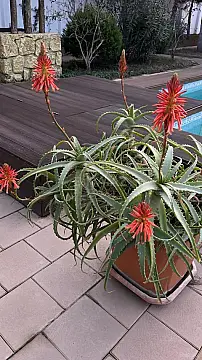 Satılır 6 otaqlı həyət evi 250 m²