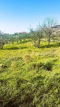 Satılır torpaq sahəsi 23 m² — Bakı, Novxanı 23.00 m²