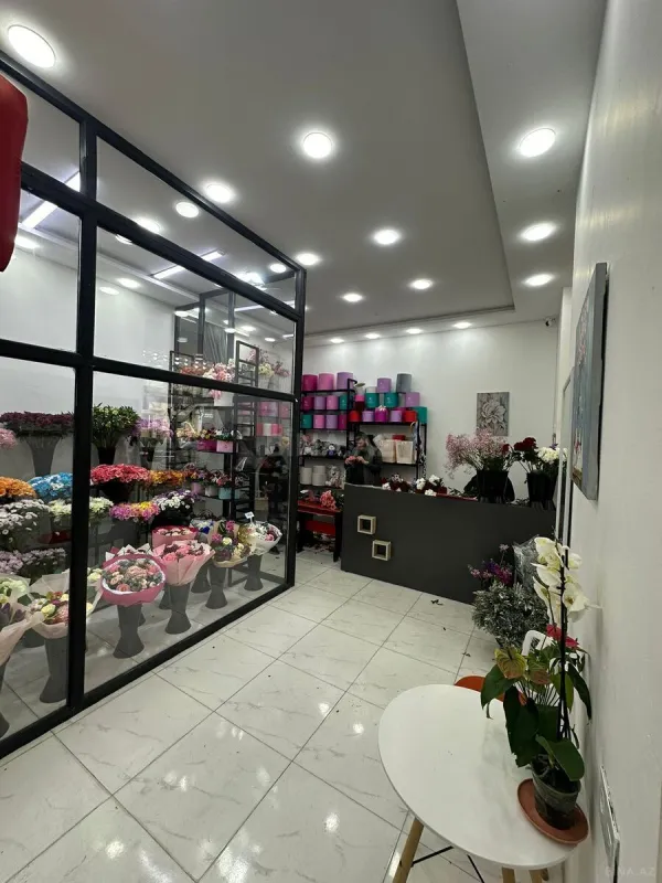 Satılır obyekt 67 m²