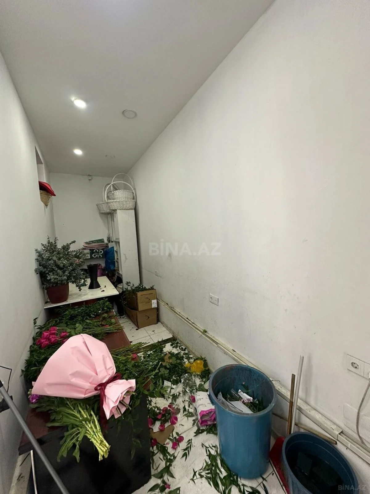 Satılır obyekt 67 m²