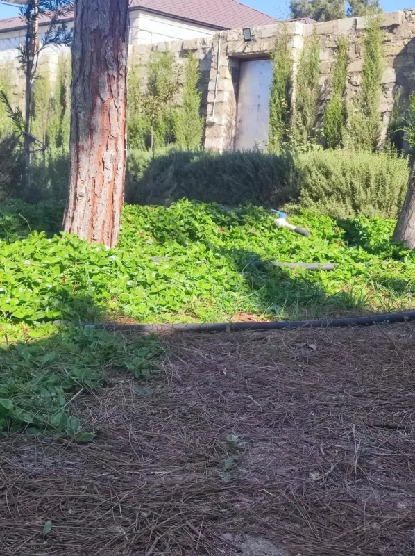 Satılır 4 otaqlı həyət evi 190 m²