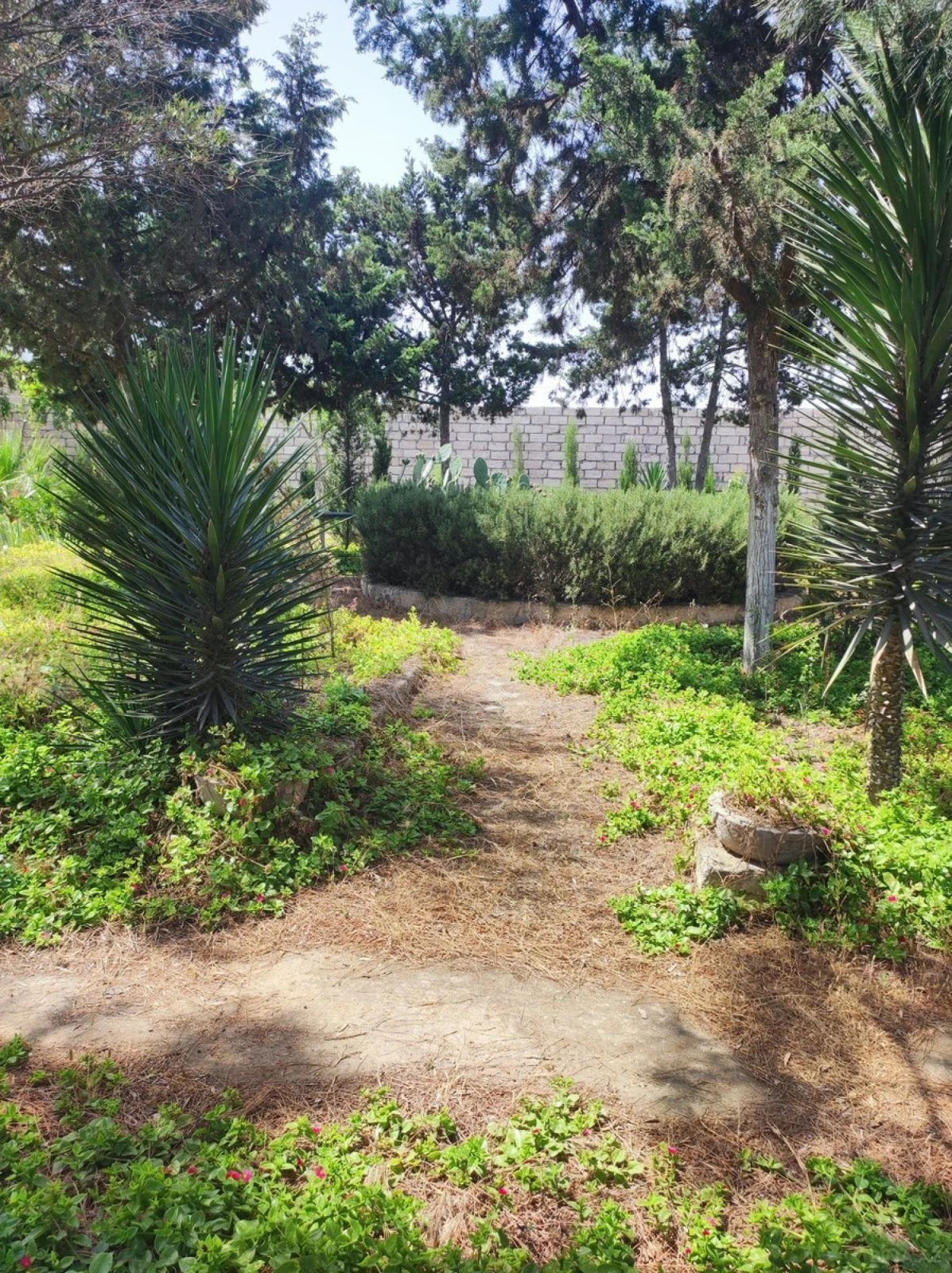 Satılır 4 otaqlı həyət evi 190 m²