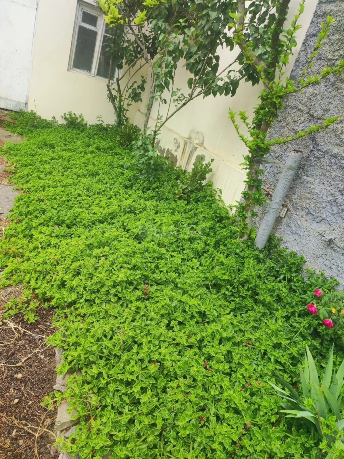 Satılır 4 otaqlı həyət evi 190 m²