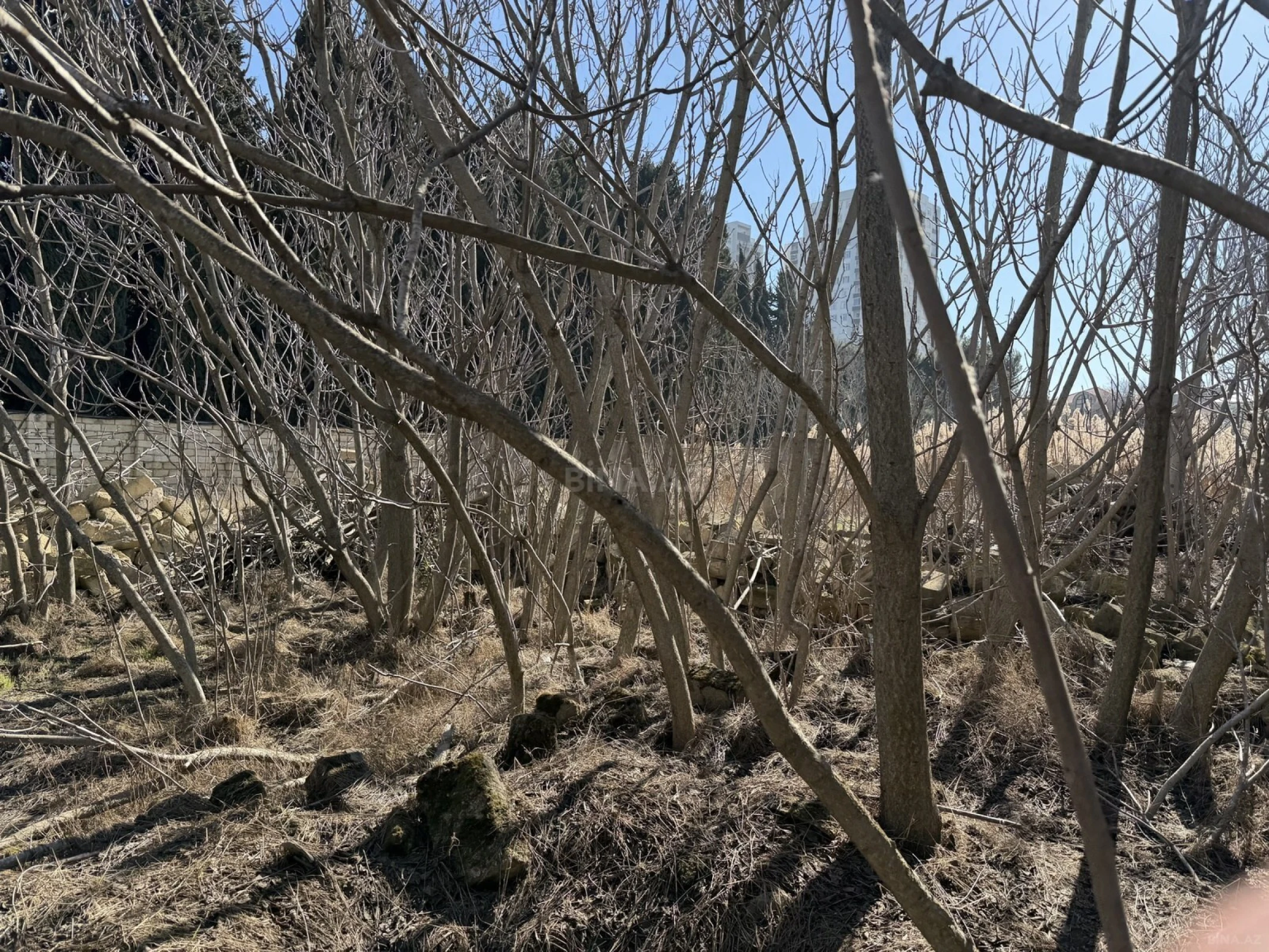 Satılır torpaq sahəsi 20 m²