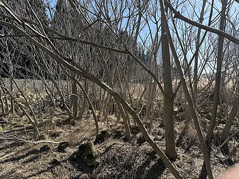 Satılır torpaq sahəsi 20 m²