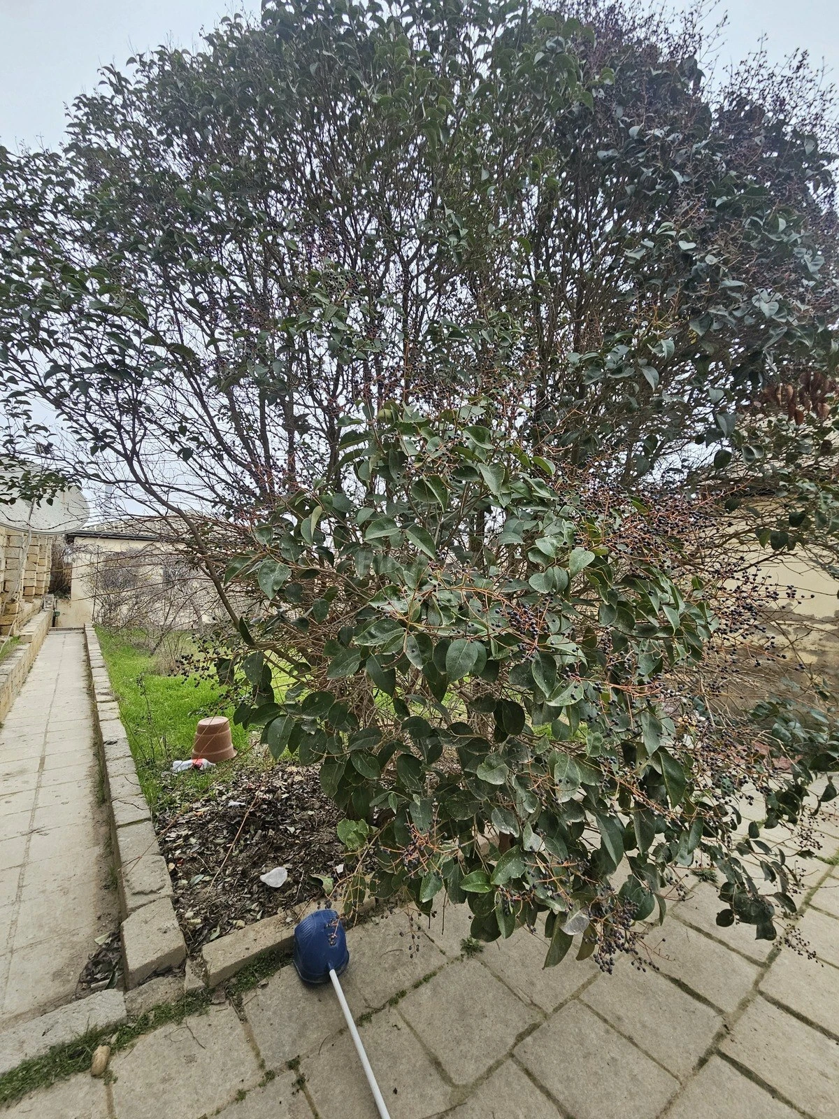 Satılır torpaq sahəsi 6 m²