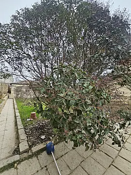 Satılır torpaq sahəsi 6 m²