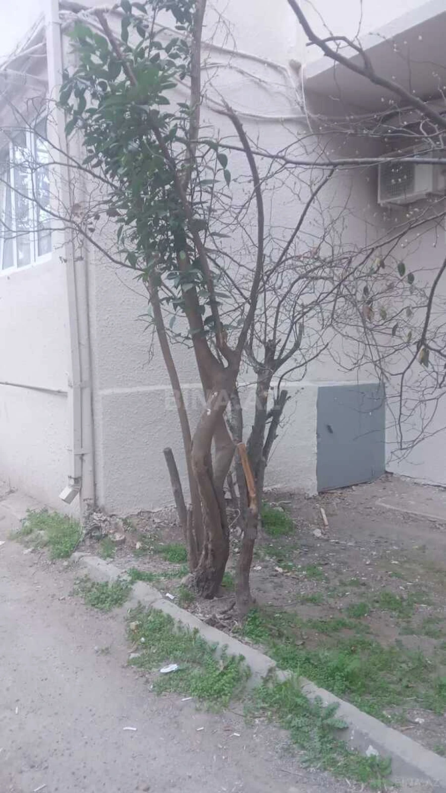 Satılır 4 otaqlı mənzil 90 m²