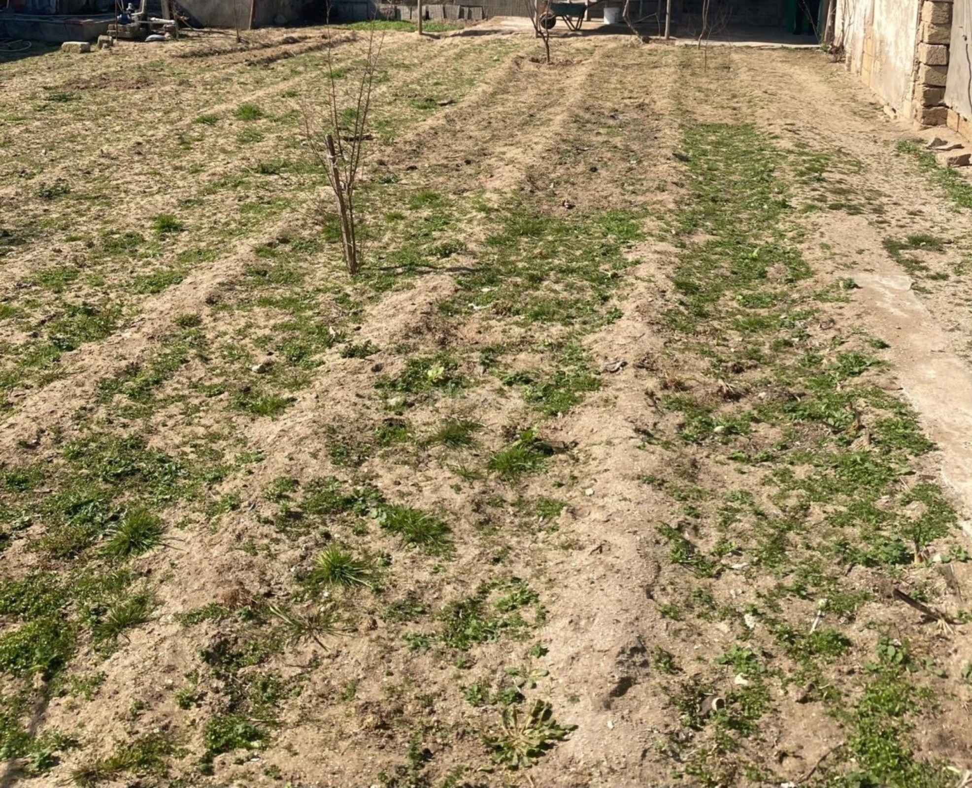 Satılır torpaq sahəsi 3 m²