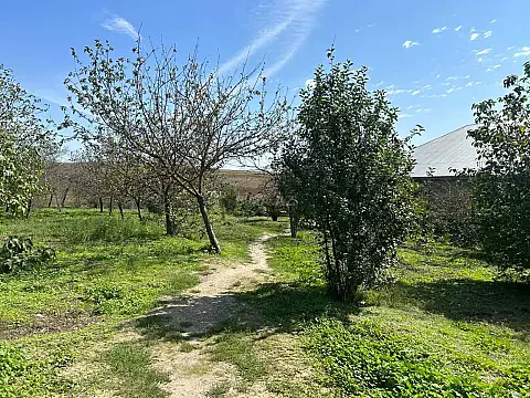 Satılır torpaq sahəsi 3.8 m² — Bakı, Nəsimi 3.80 m²