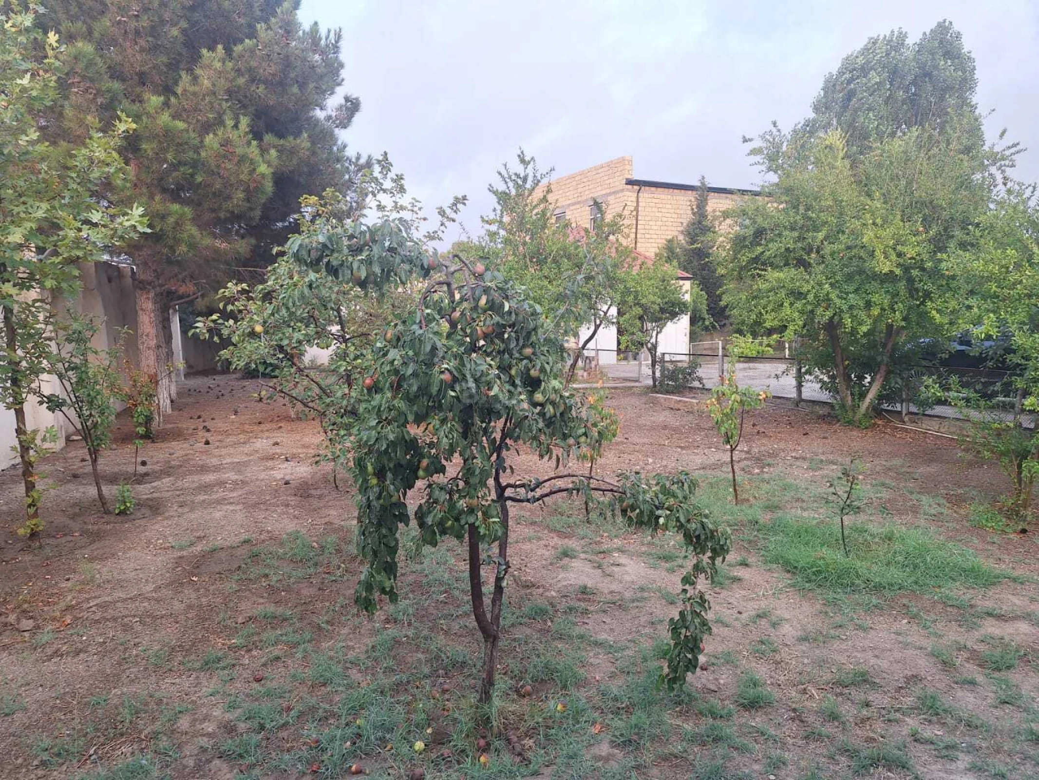 Satılır 5 otaqlı həyət evi 130 m²
