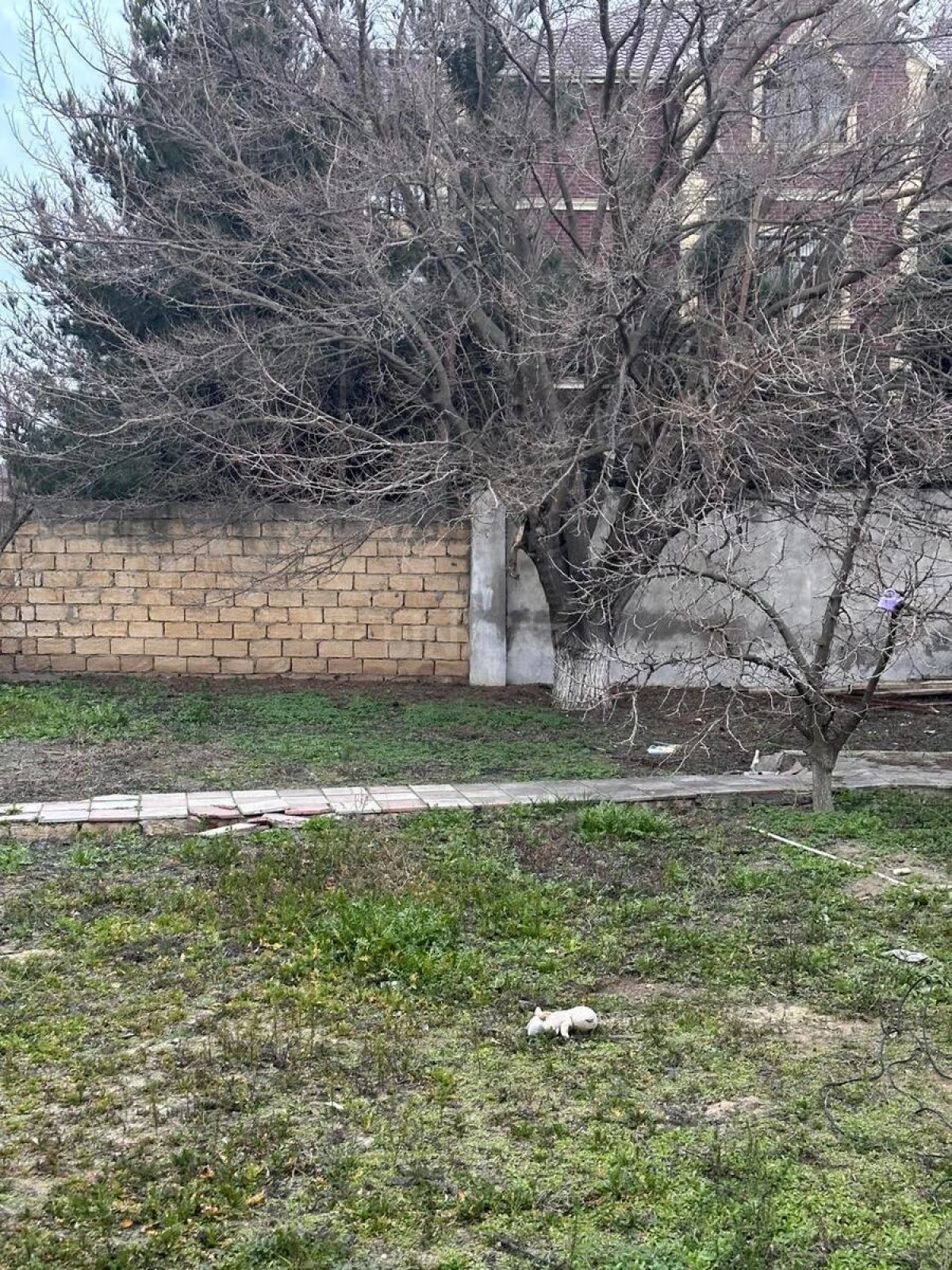 Satılır torpaq sahəsi 3 m²