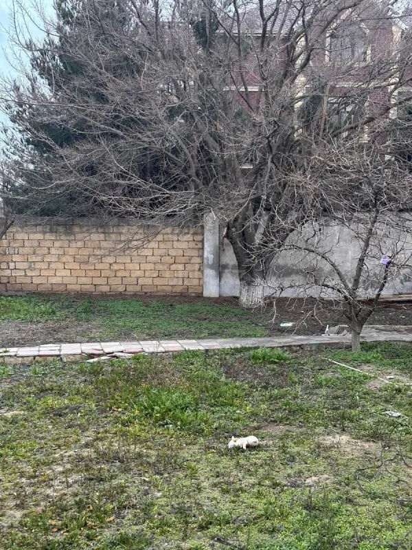 Satılır torpaq sahəsi 3 m²