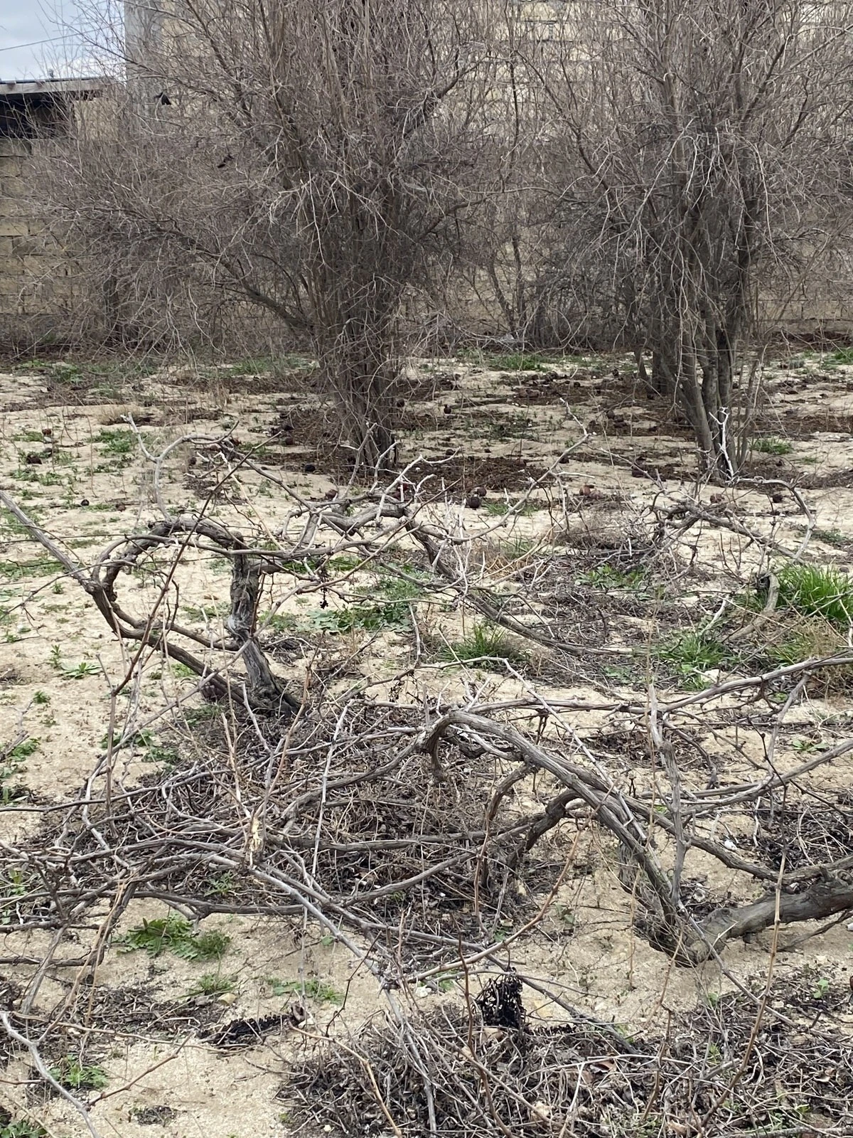 Satılır torpaq sahəsi 2 m²