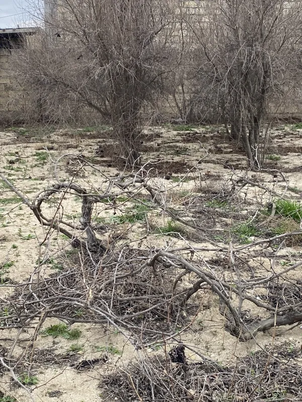 Satılır torpaq sahəsi 2 m²