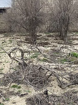 Satılır torpaq sahəsi 2 m²