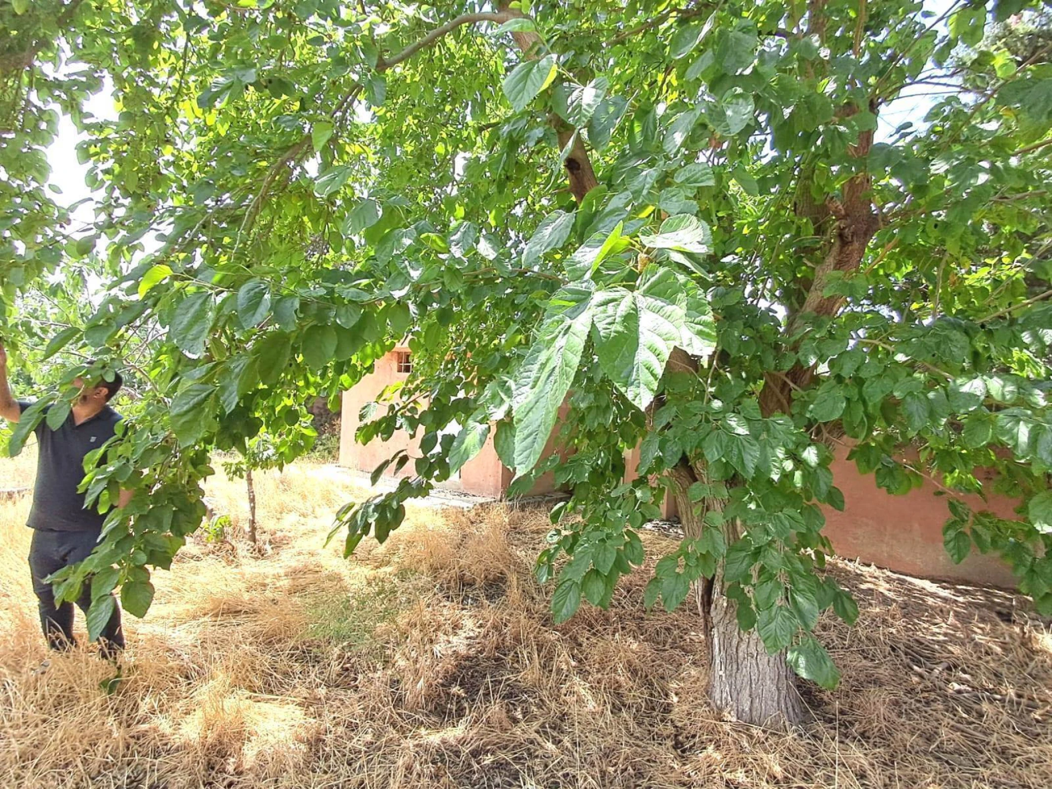 Satılır 7 otaqlı həyət evi 140 m²