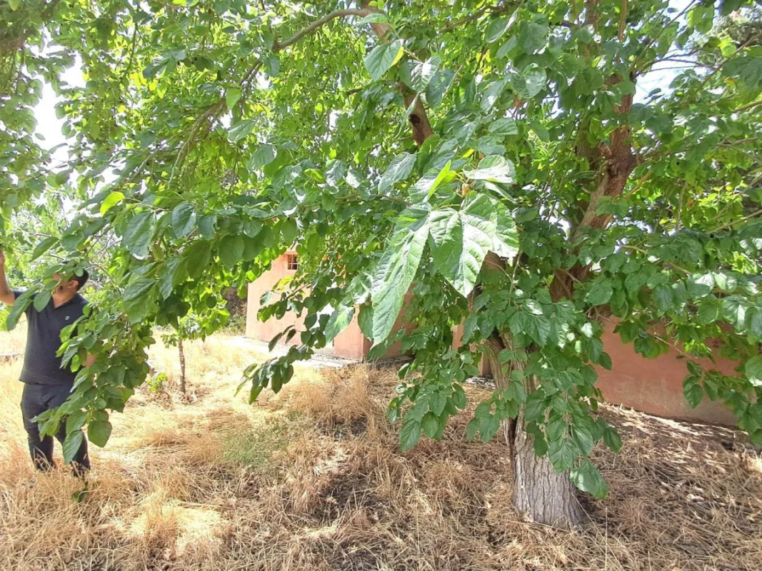 Satılır 7 otaqlı həyət evi 140 m²