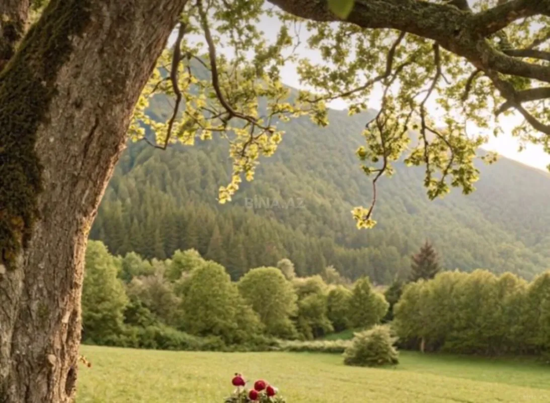 Satılır torpaq sahəsi 6 m²