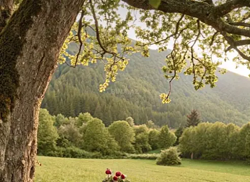 Satılır torpaq sahəsi 6 m²