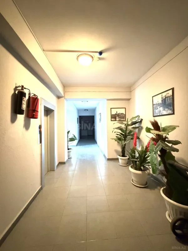 Kirayə verilir 6 otaqlı mənzil 220 m²