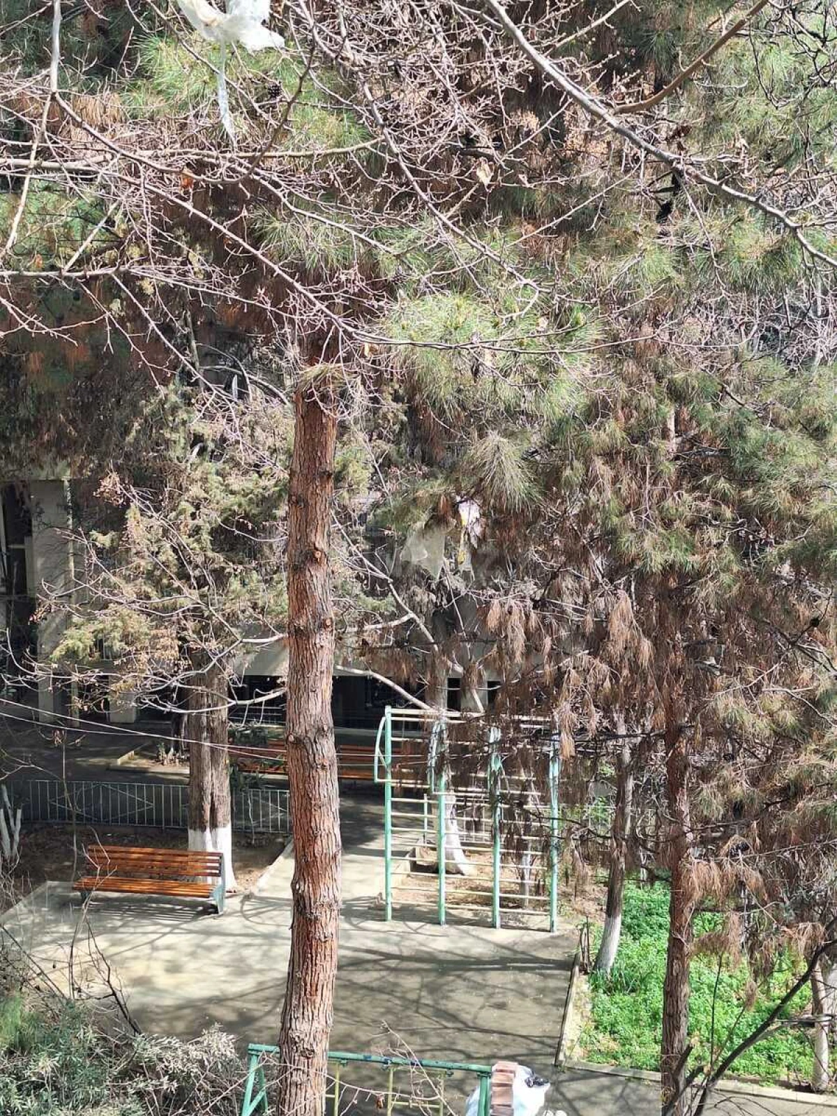 Satılır 2 otaqlı mənzil 55 m²