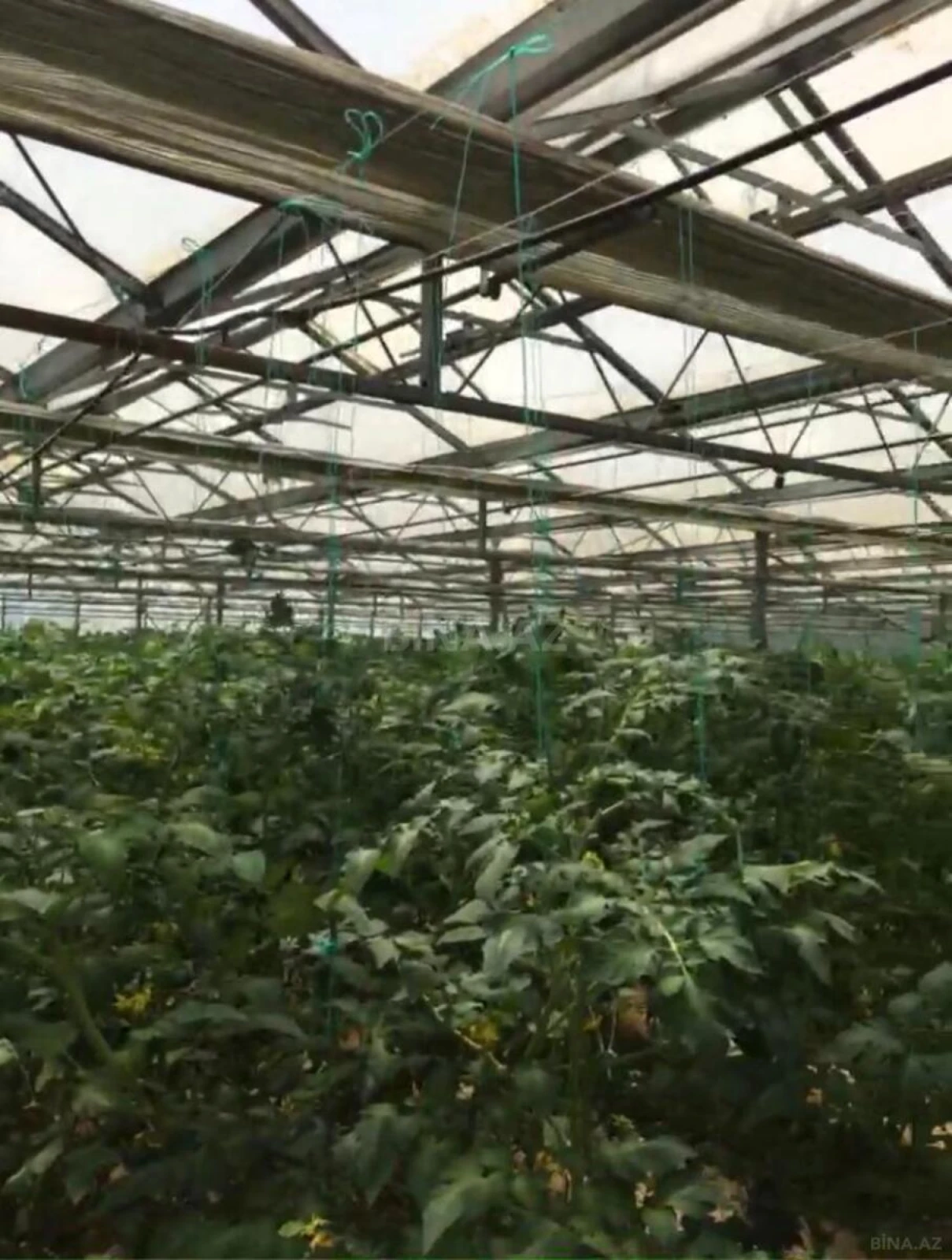 Satılır obyekt 1500 m²