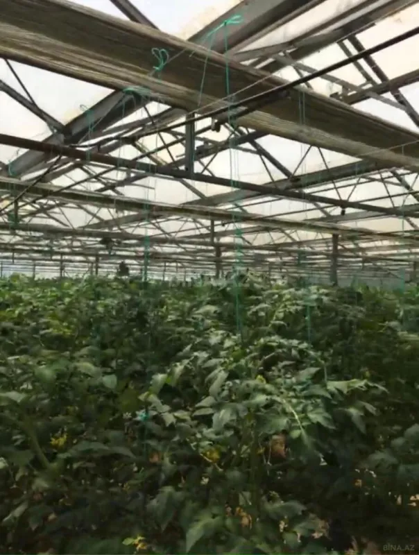 Satılır obyekt 1500 m²