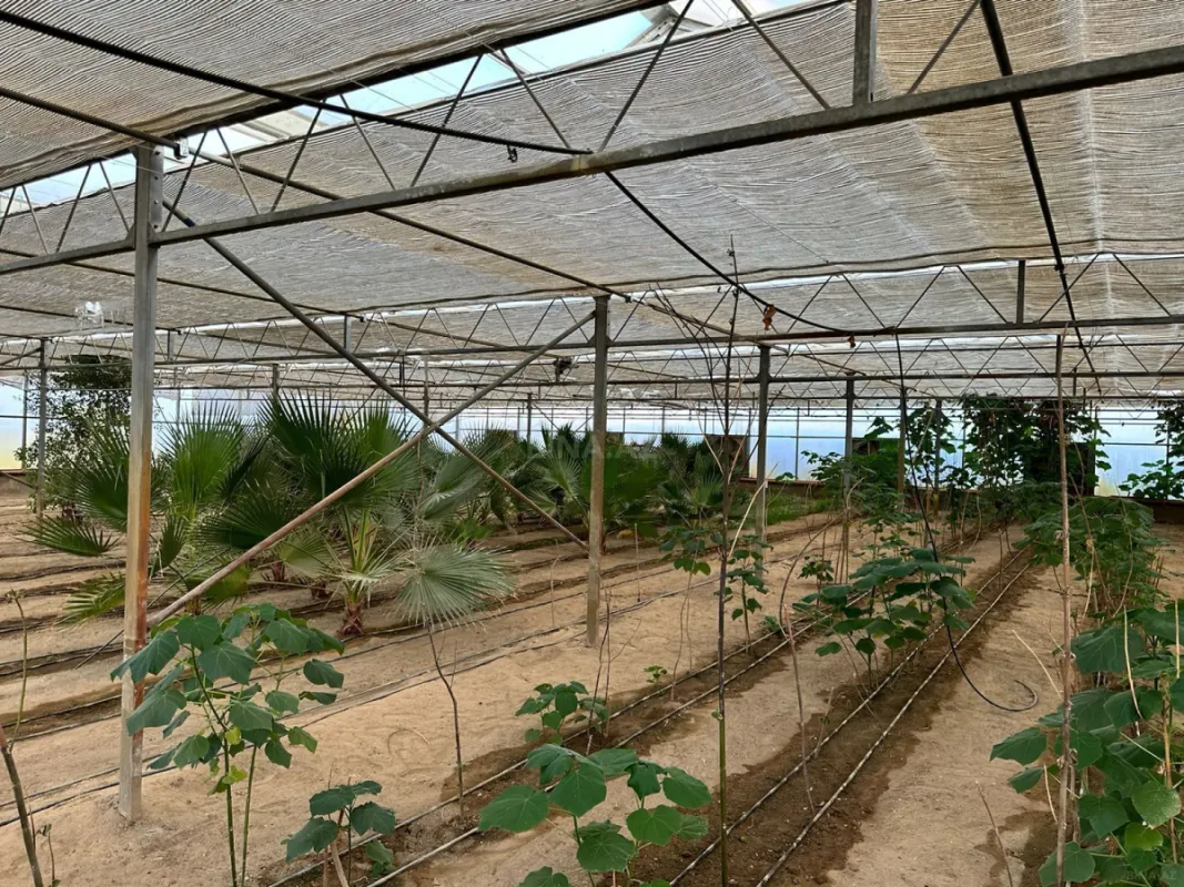 Satılır obyekt 1500 m²