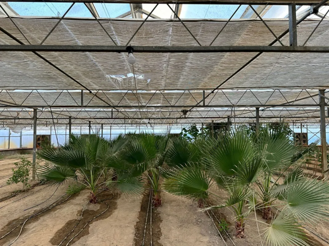 Satılır obyekt 1500 m²