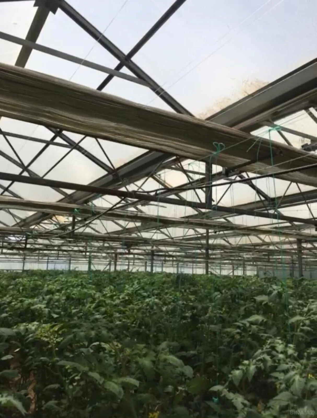 Satılır obyekt 1500 m²