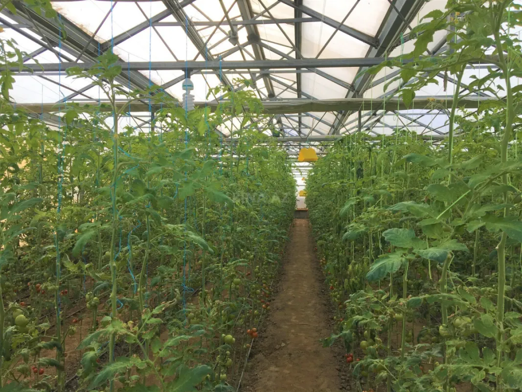 Satılır obyekt 1500 m²