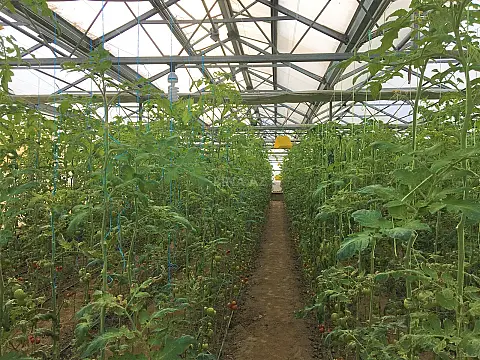 Satılır obyekt 1500 m²