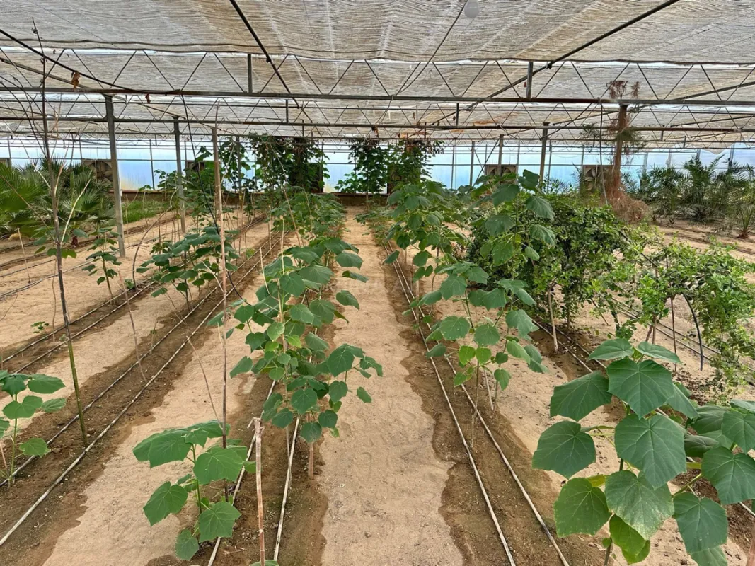 Satılır obyekt 1500 m²