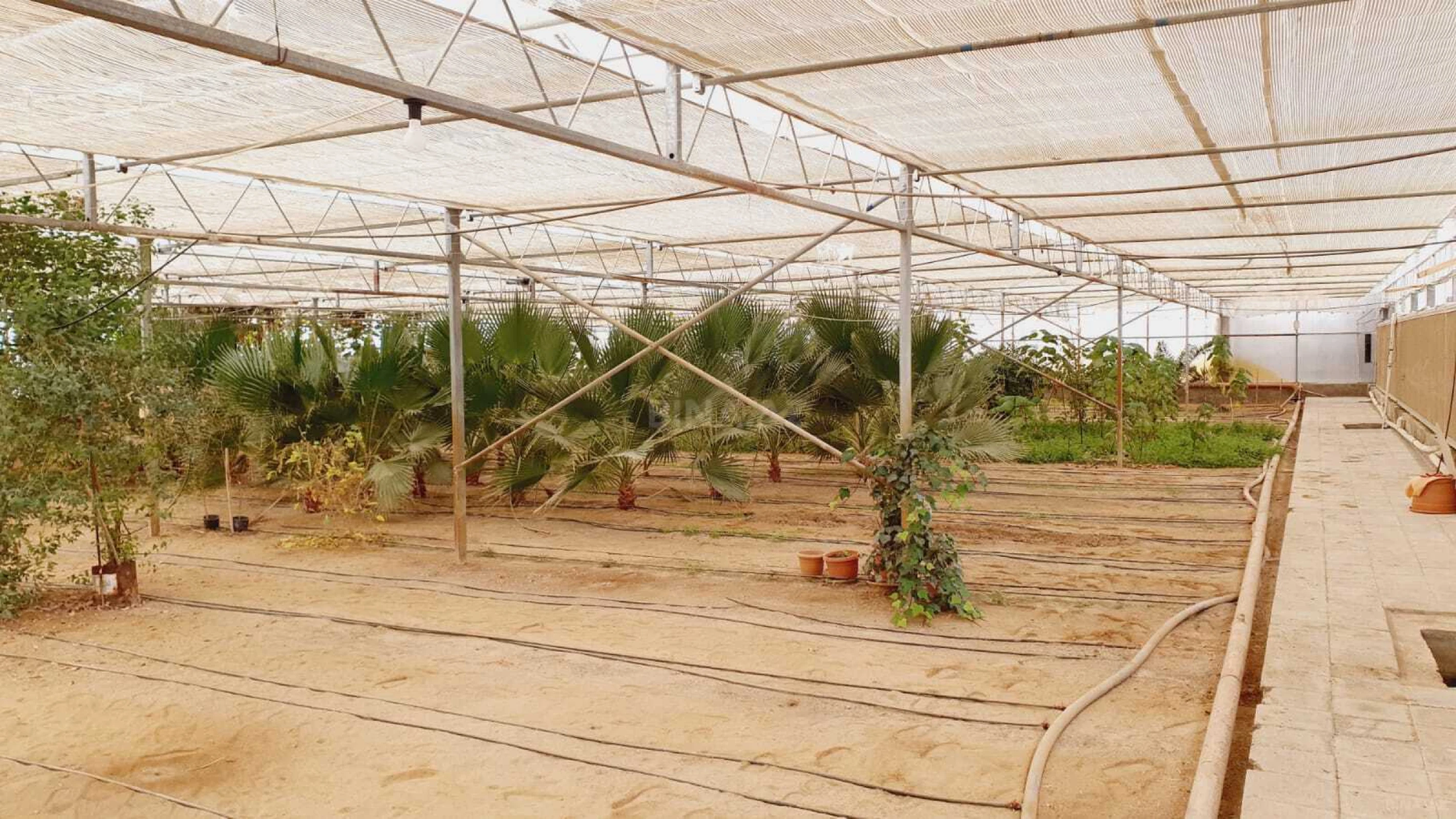 Satılır obyekt 1500 m²