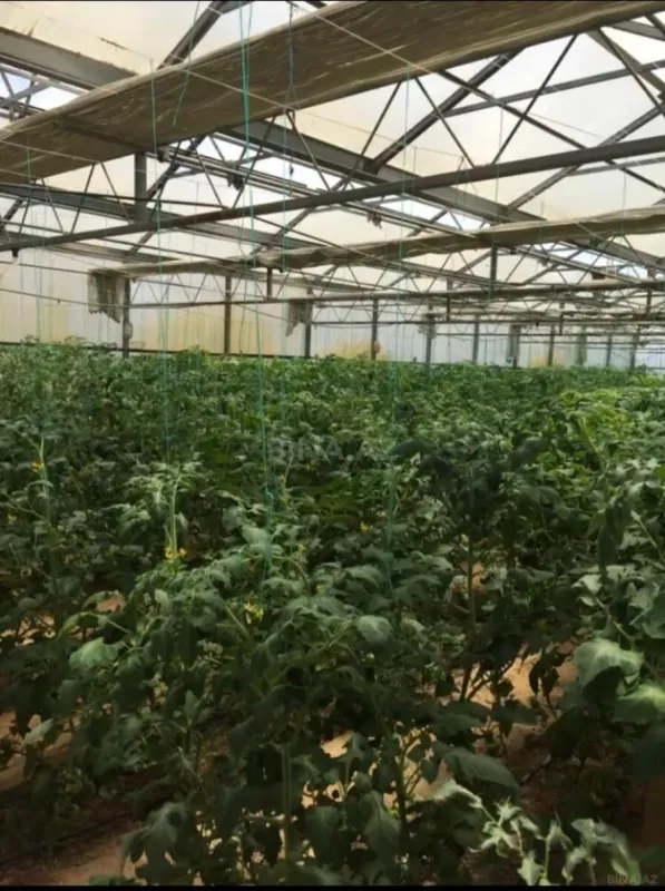 Satılır obyekt 1500 m²