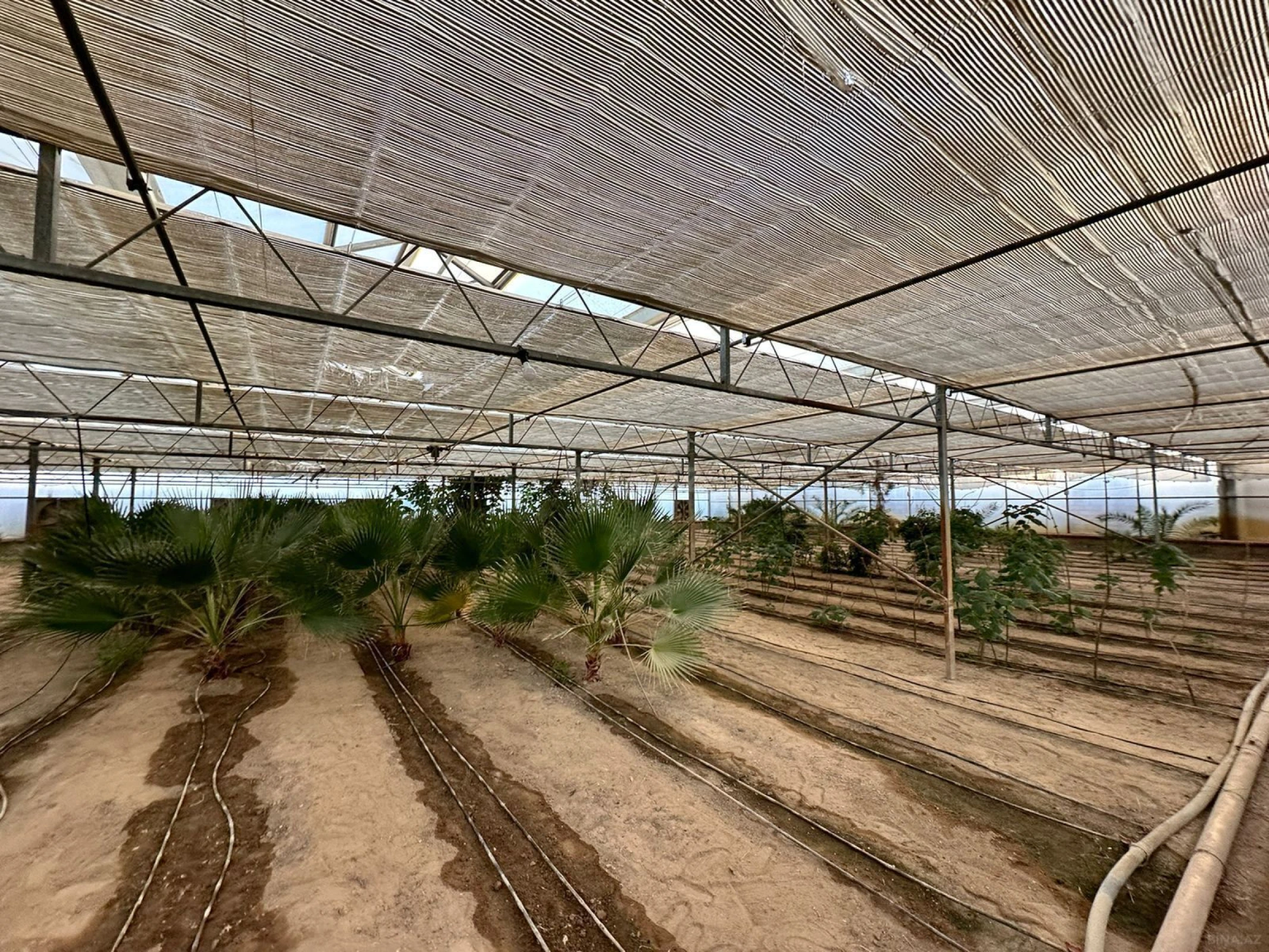 Satılır obyekt 1500 m²