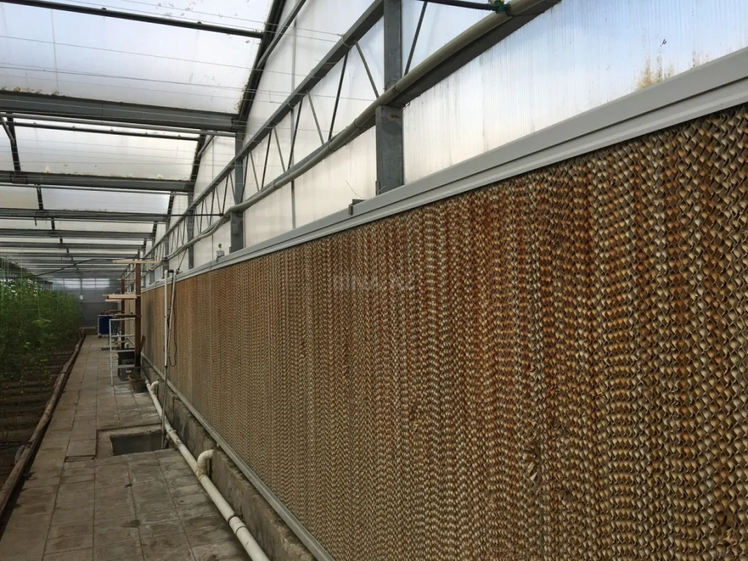 Satılır obyekt 1500 m²