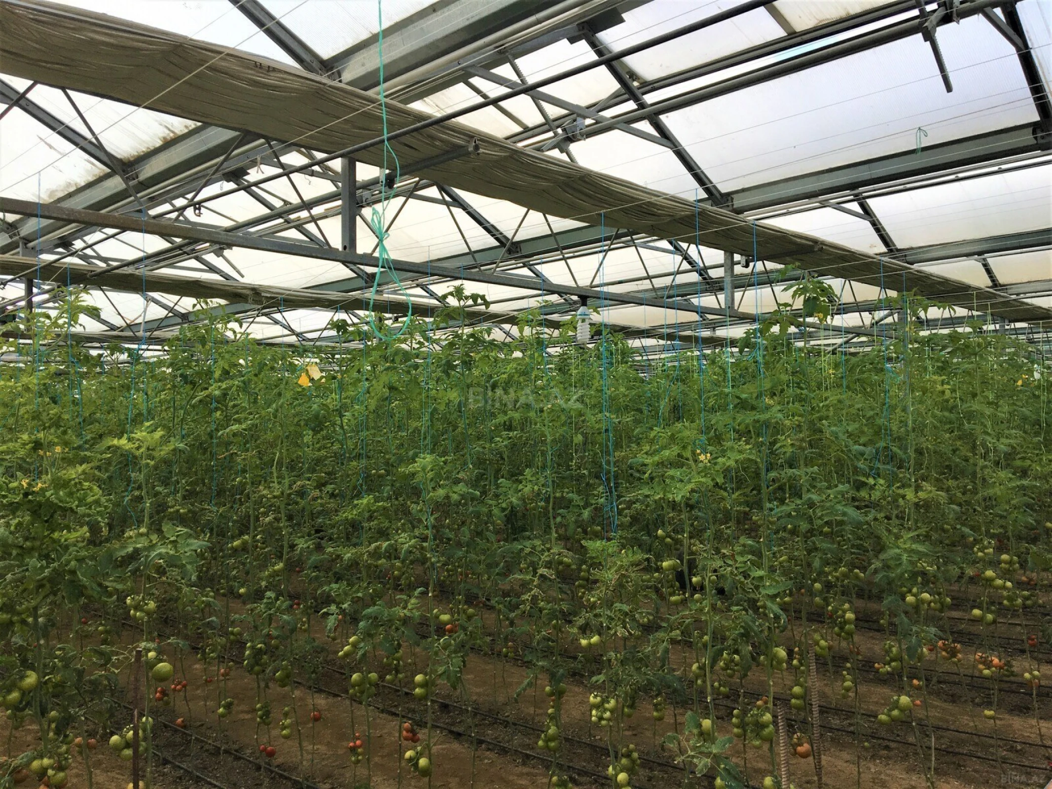 Satılır obyekt 1500 m²