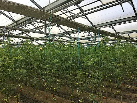 Satılır obyekt 1500 m²