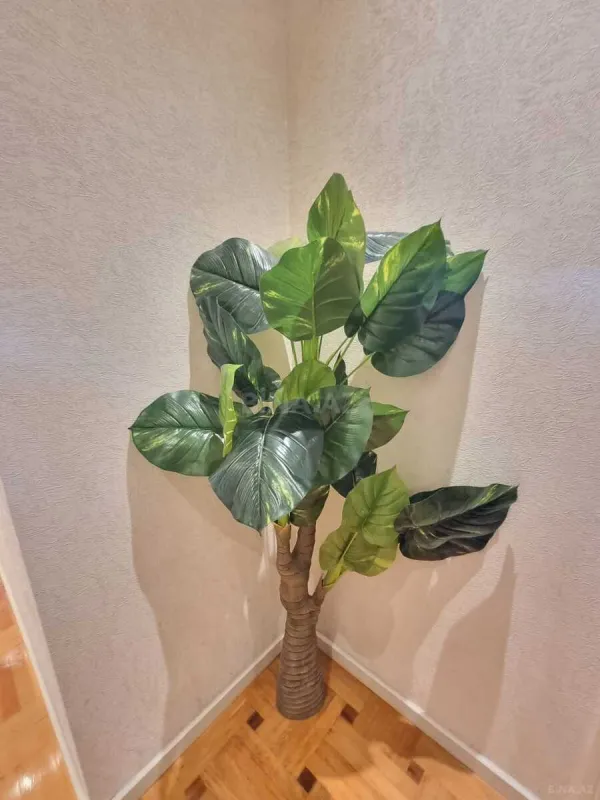 Satılır 4 otaqlı mənzil 170 m²